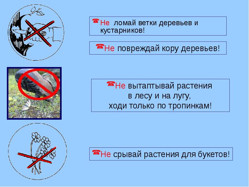 Не ломай ничего. Не ломай ничего