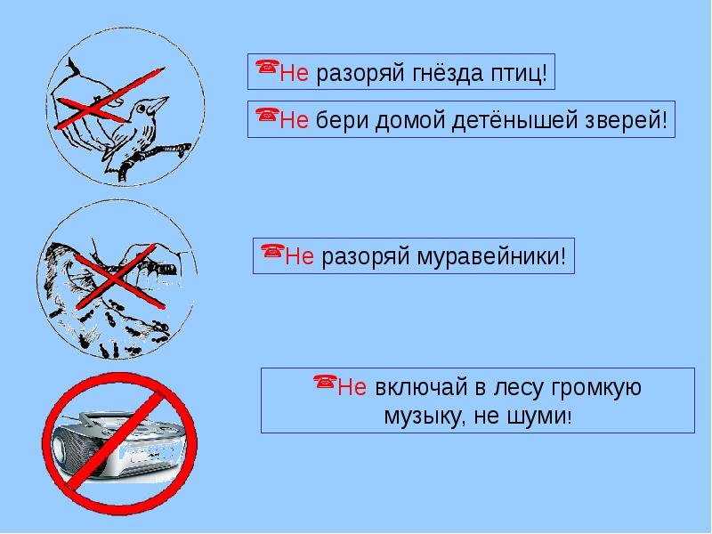 Бери домой. Экологические знаки не шуметь. Знак не разорять гнезда. Не разоряй гнезда. Экологический знак не разоряйте гнезда птиц.