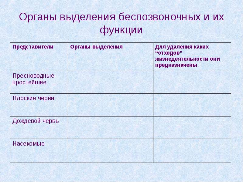 Выделение у животных 6 класс. Таблица тема органы выделения у животных. Таблица органы выделения у животных 6 класс биология. Эволюция выделительной системы таблица. Особенности строения органов выделения у животных 6 класс.