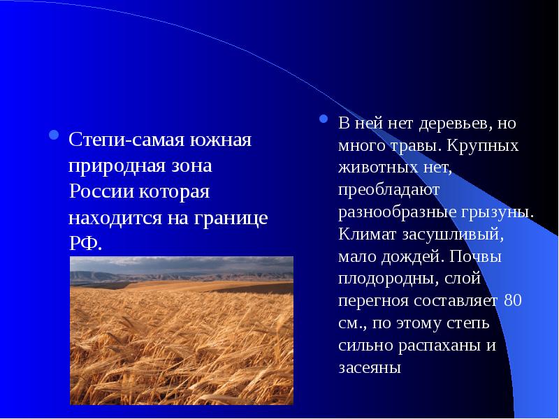 Степь россии характеристика природной зоны