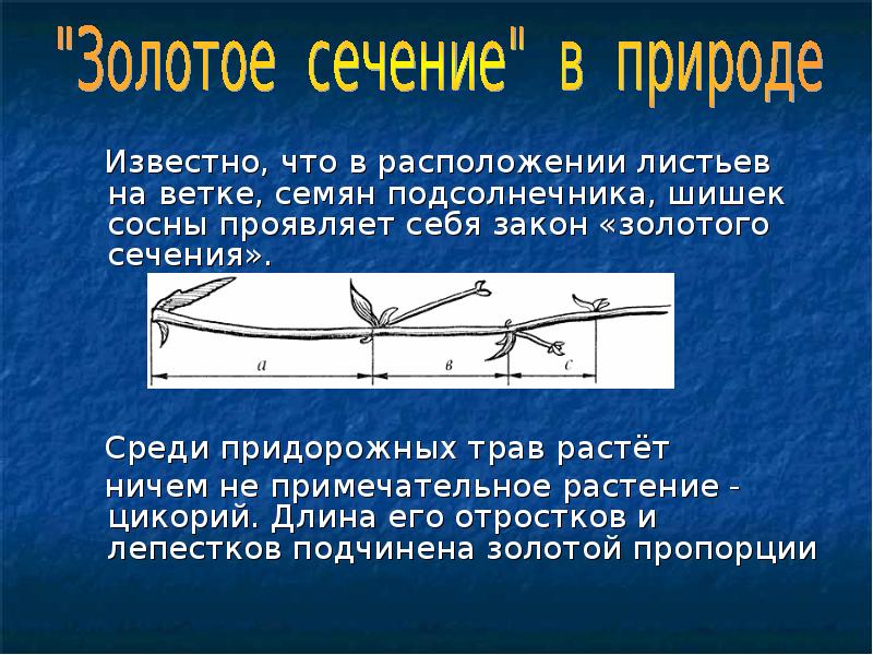 Золотое сечение презентация 10 класс