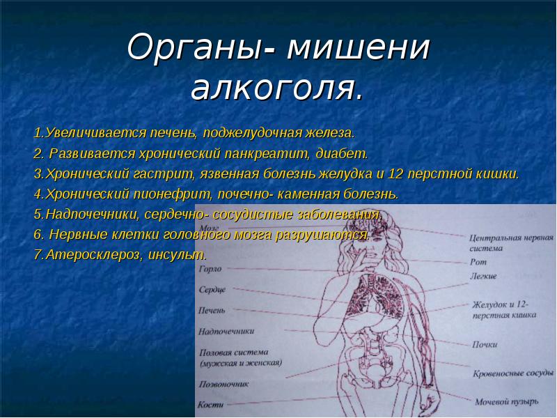 5 органы мишени. Органы мишени поджелудочной железы. Железа и орган мишень. Органы мишени гормонов поджелудочной железы.