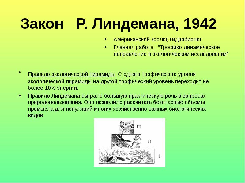 Закон линдемана. Экологические пирамиды правило Линдемана. Правило 10 процентов Линдемана экология. Закон Линдемана правило 10 процентов.