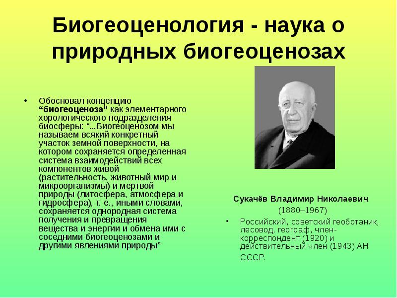 Обосновать концепцию. Биогеоценология. Наука которая изучает биогеоценозы. Основоположник биогеоценологии. Биогеоценология это наука.