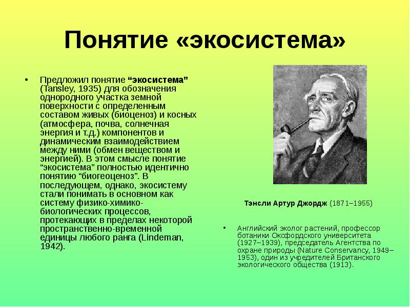 Термин экосистема. Понятие экосистемы. Термин экологическая система. Понятие экосистемы предложено.