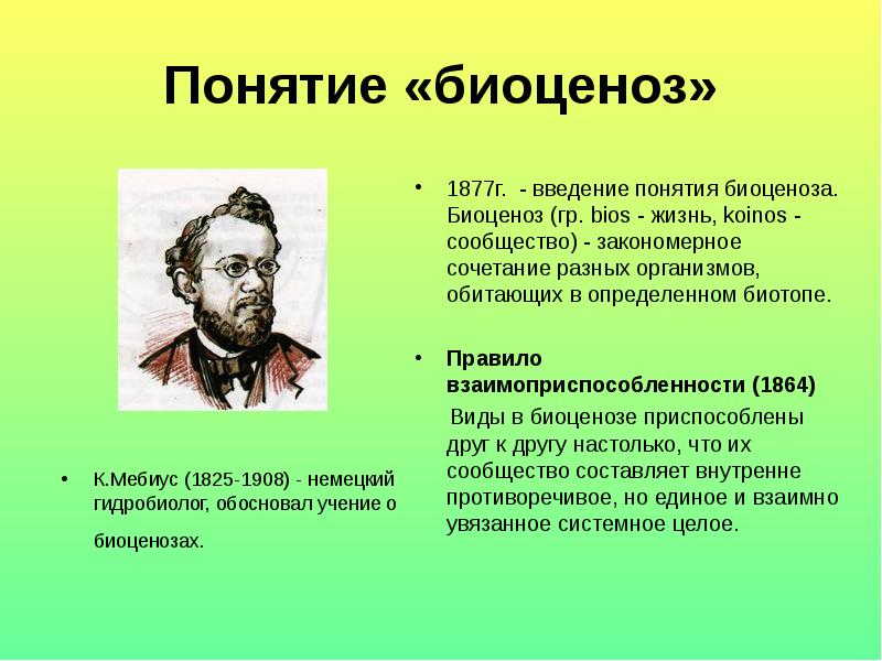 Термин биоценоз ввел. Понятие биоценоз. Биоценоз Мебиус. Правило взаимоприспособленности. Термин биоценоз предложил.