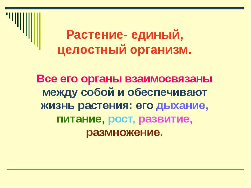 Растение целостный организм 6 класс. Сказка на тему растение целостный организм. Растение как целостный организм. Растение как целостный организм. Растение целостный организм.