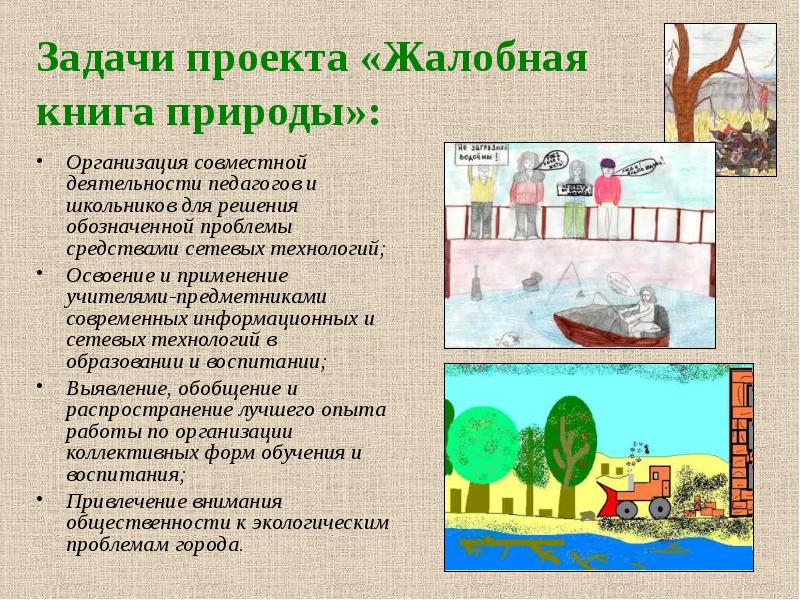 Жалобная книга природы презентация