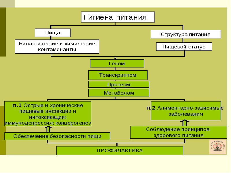 Структура питания. Программа здорового питания. Структура пищи. Презентация на тему здоровое питание-здоровье нации.