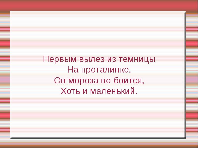 Первым вылез из землицы. Он Мороза не боится хоть и маленький. Первым вылез из темницы на Лесной проталинке. Первый вылез из темницы. Первым вылез из землицы на проталинке.