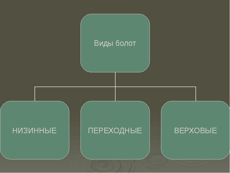 Виды болот