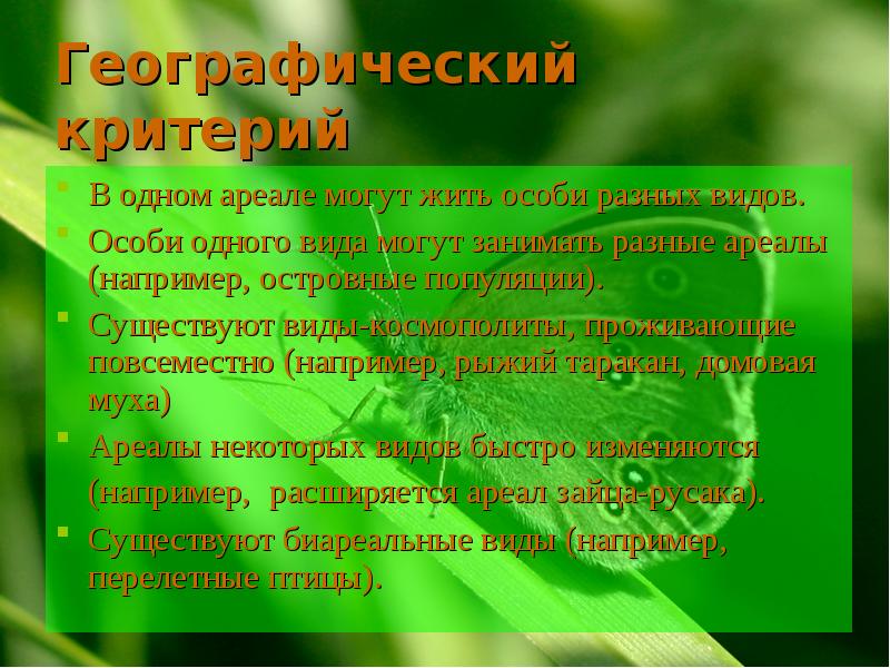 Особи разных видов. Разные особи одного вида. Особи обитающие на одной разного вида. Особь одного типа. Особь это в биологии.