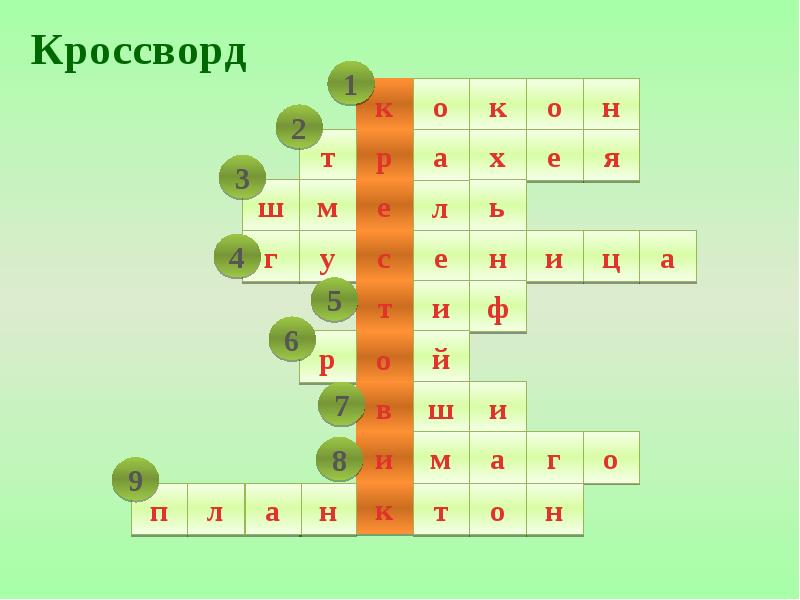 Кроссворд моллюски. Кроссворд Членистоногие. Кроссворд по теме Членистоногие. Кроссворд про членистоногих. Кроссворд по типу Членистоногие.