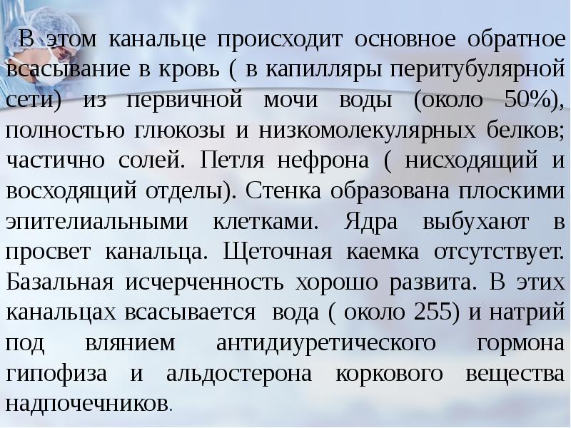Обратное всасывание мочи происходит в. Обратное всасывание мочи происходит в