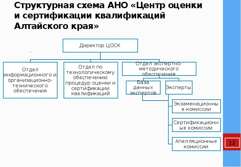 Структура некоммерческой организации схема