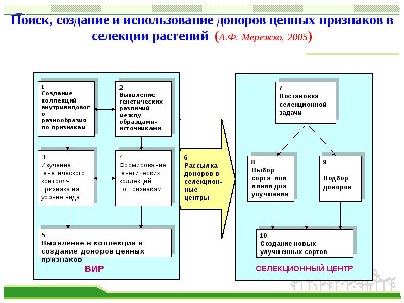 Создание поиска. Донор и источник в селекции. Поиск растений источников и доноров устойчивости. Источники и доноры признаков в селекции. Источник донор устойчивости.