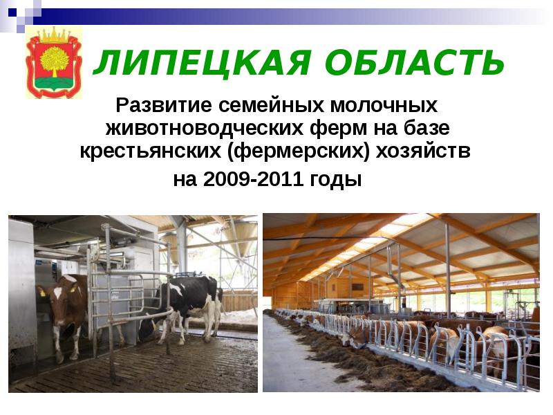 Предприятия поставляющие свою продукцию сельскому хозяйству. Презентация фермерского хозяйства. Развитие семейных животноводческих ферм. Отрасли сельского хозяйства Липецкой области. Животноводство Липецкой области.