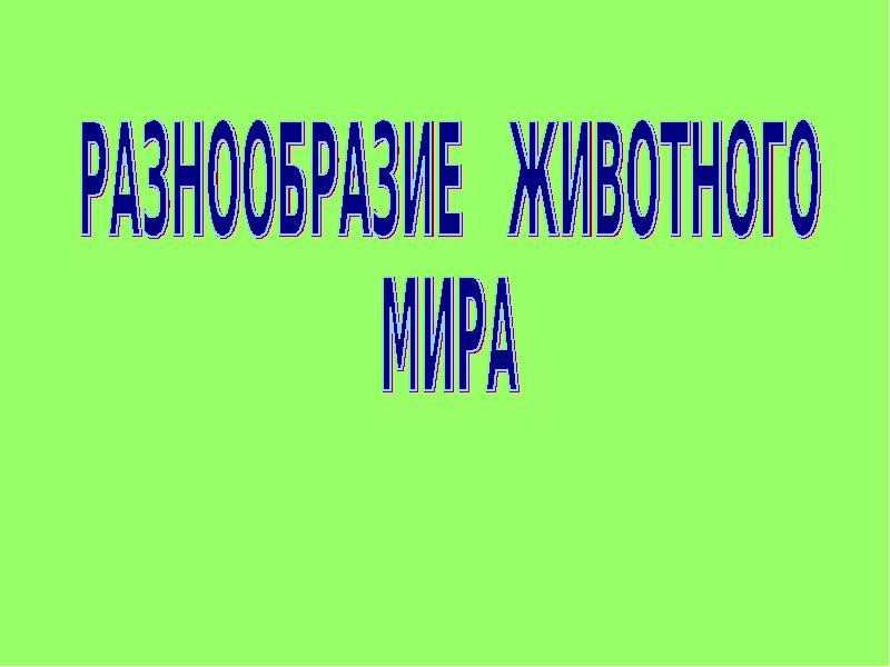 Презентация разнообразия животных 3 класс. Разнообразие животных 3 класс. Разнообразие животных 3 класс окружающий мир. Разнообразие животных 3 класс окружающий мир тест.