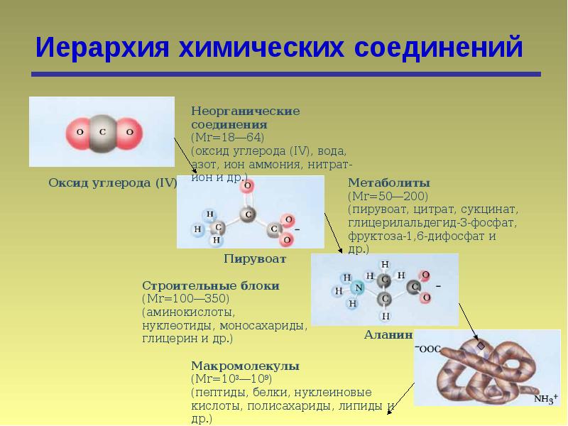 Органическая химия презентация