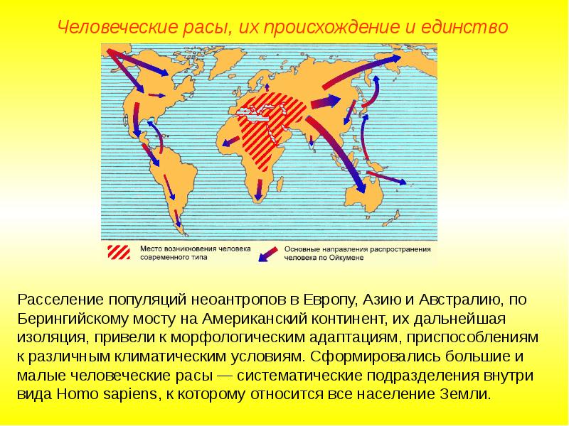 Доклад: Человеческие расы, их происхождение и единство