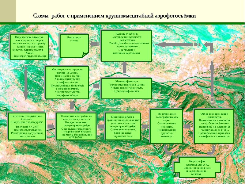 Рекреационное значение лесов презентация