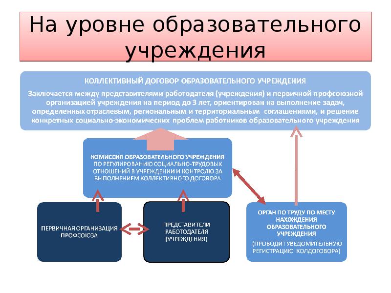 Коллективный договор образовательной организации образец