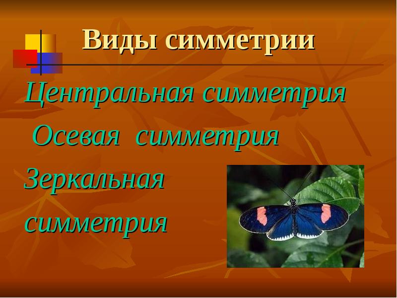 Проект симметрия 1 класс