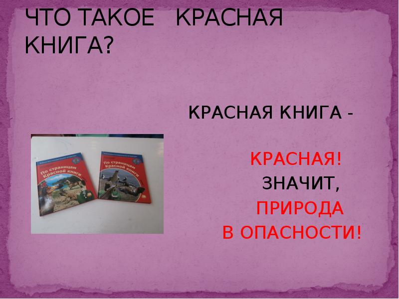 Что означает красная книга. Что таоке красная книга. Памятка красная книга. Названия разделов красной книги.