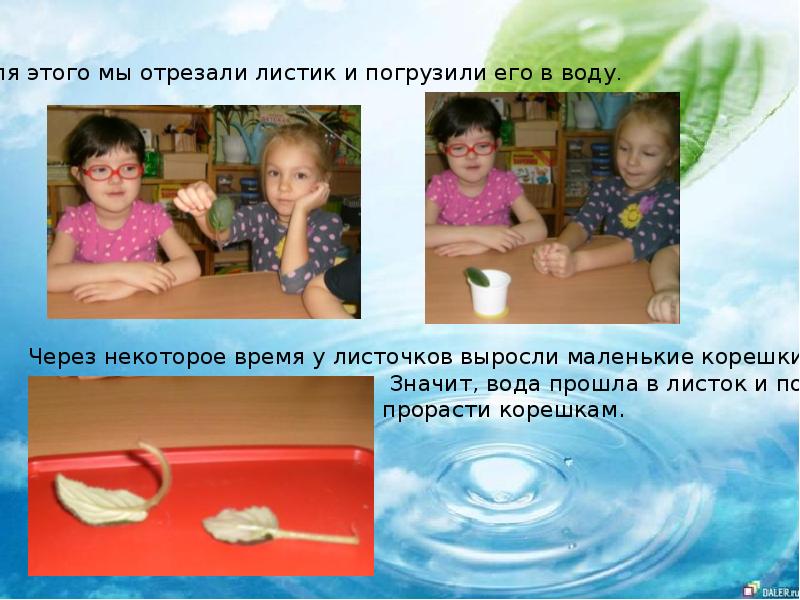 Прошлом вода. Помогает ли вода вырасти?.