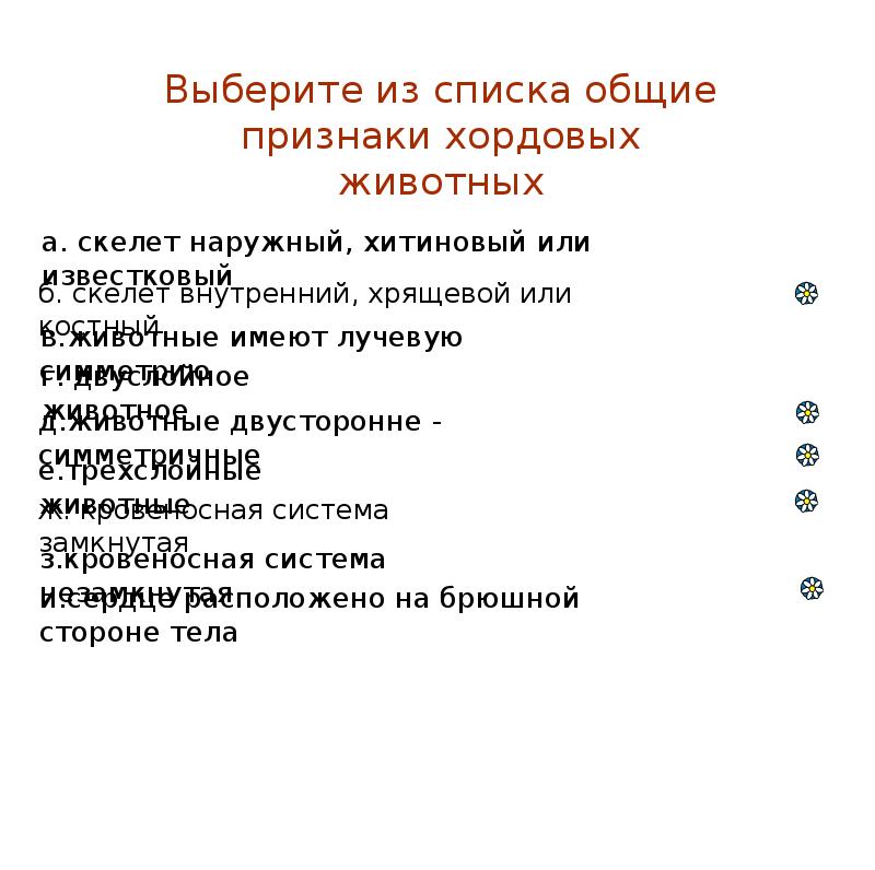 Выбор признаков. Выберите признаки хордовых животных.