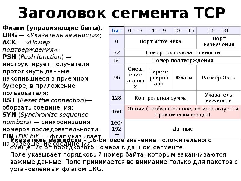 Размер заголовка. Структура TCP заголовка. Структура сегмента TCP. Формат заголовка TCP. Формат заголовка TCP сегмента.