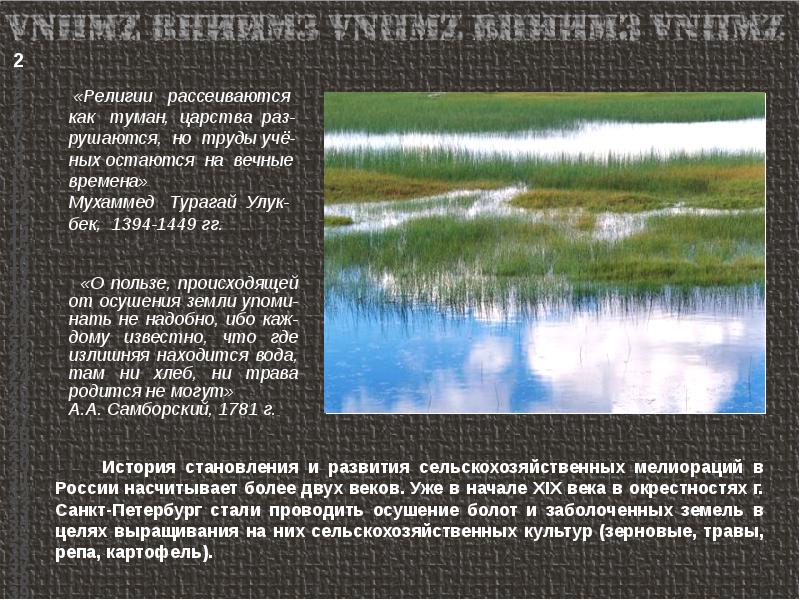 Осушение людьми заболоченных земель служит примером взаимодействия. Осушении земель, цели и задачи. что произойдет если осушить все болота.