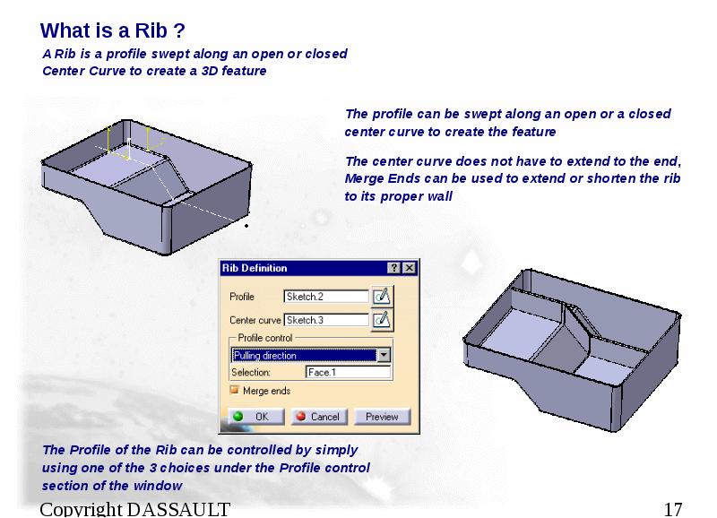 What is a Rib ?
