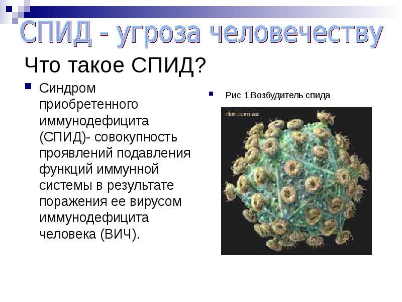 Вич биология. СПИД. ВИЧ СПИД. Вирус СПИДА. Вирус иммунодефицита человека.