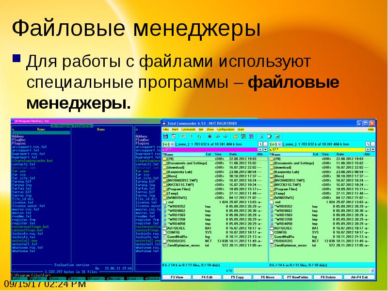 Какие специальные программы. Файловый менеджер. Программа файловый менеджер. Файловые менеджеры примеры. Перечислите файловые менеджеры.