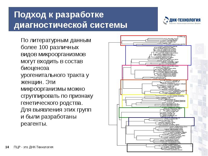 Данные свыше. Исследование биоценоза. Разработка диагностической системы. Исследование урогенитального тракта методом ПЦР. ПЦР биоценоз это.