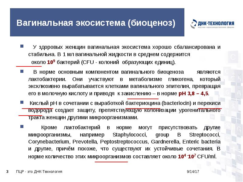 Вагинальная экосистема (биоценоз)
У здоровых женщин вагинальная экосистема хорошо сбалансирована Вагинальная экосистема (биоценоз)
У здоровых женщин вагинальная экосистема хорошо сбалансирована