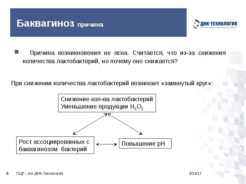 Баквагиноз причина
Причина возникновения не ясна. Считается, что из-за снижения Баквагиноз причина
Причина возникновения не ясна. Считается, что из-за снижения
