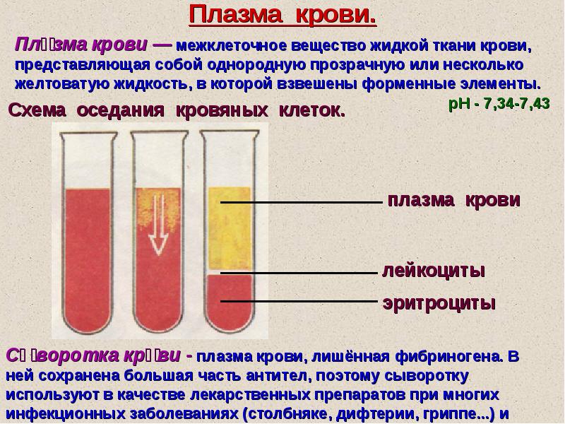 Почему кровь желтая. Отличие плазмы от сыворотки крови. Цельная кровь сыворотка плазма крови. Форменные элементы сыворотки крови. Чем сыворотка крови отличается от плазмы крови.