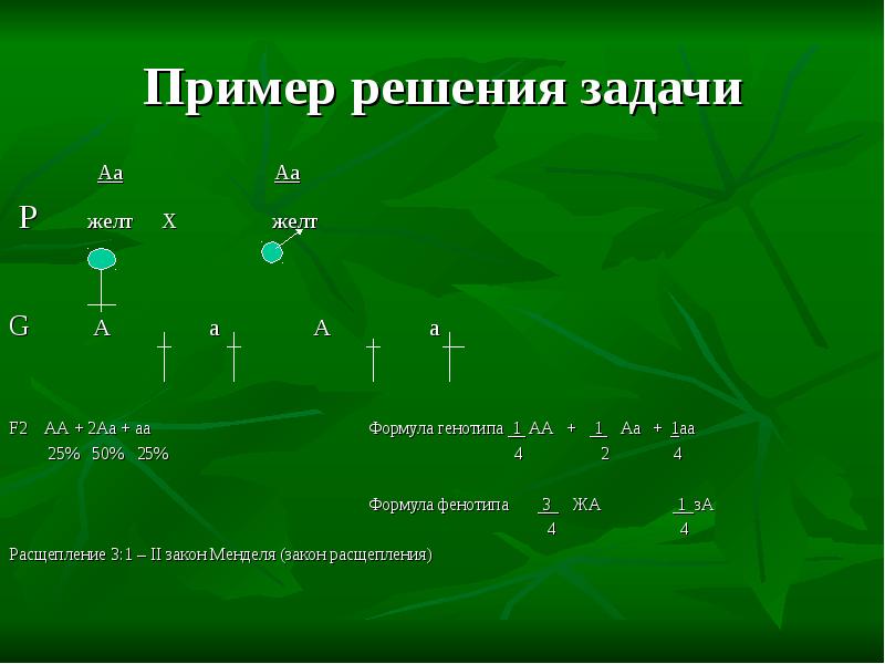 Задачи по генетике