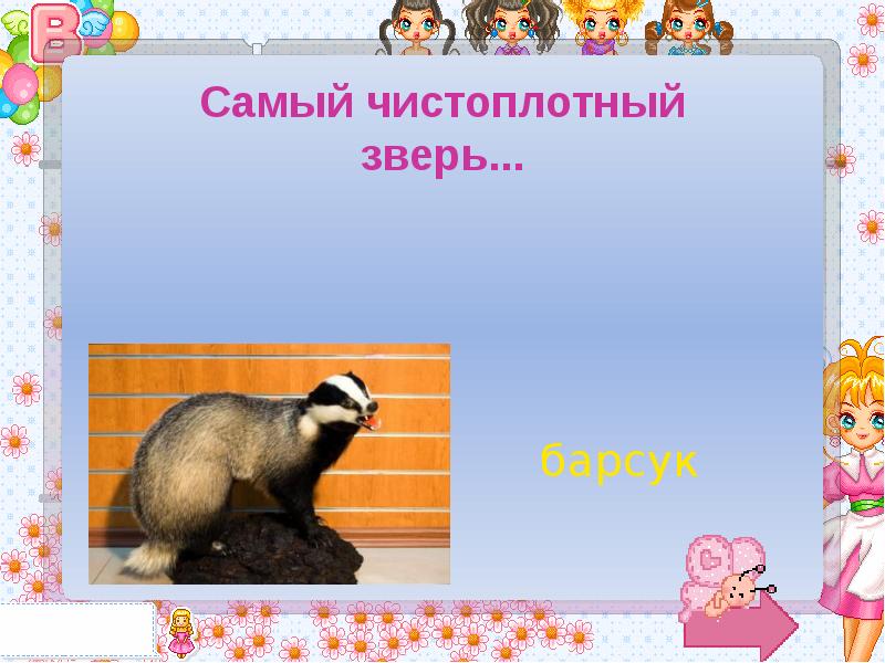 Самые чистоплотные животные. Свинья самое чистоплотное животное. Самый чистоплотный зверек. Самое чистоплотное животное домашнее. Чистоплотный зверь барсук.