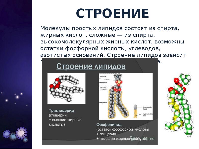 Молекула глицерина