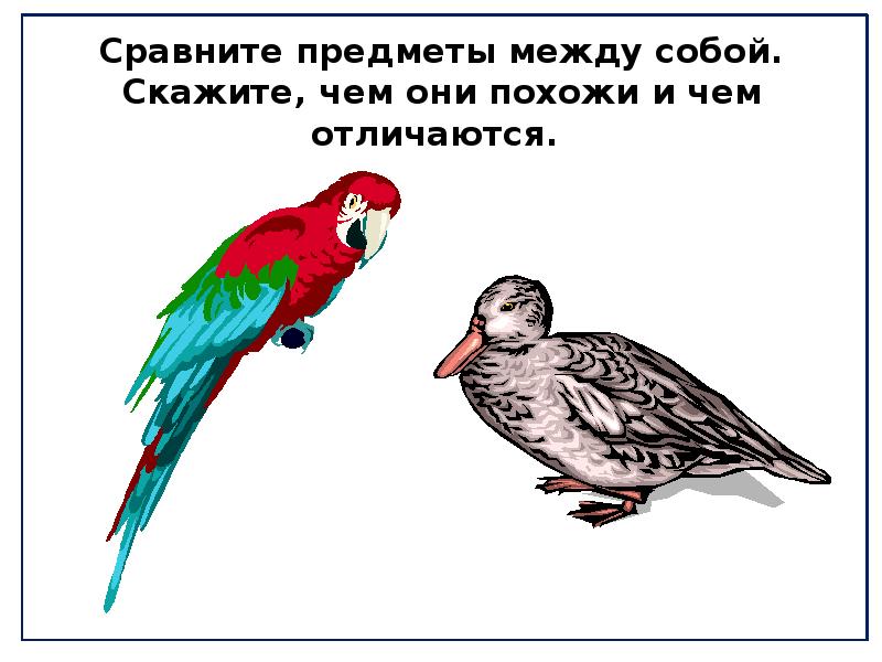 Чем отличается между собой. Сравни предметы между собой. Предметы сравнить между собой. Сравни объекты чем они отличаются. Чем похожи и чем отличаются животные между собой.