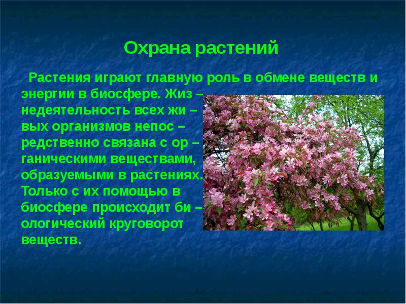 Охрана растений. Охрана природы растений. Охрана растений презентация. Проект охрана растительного мира.