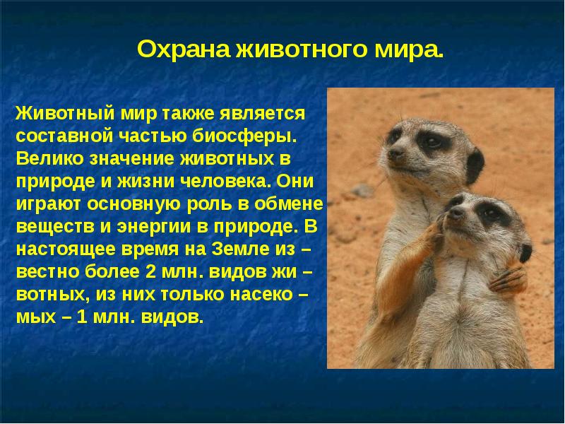 Тема охрана животных окружающий мир 3 класс. Охрана животных. Проект охрана животных. Сообщение об охране животных. Доклад на тему охрана животных.