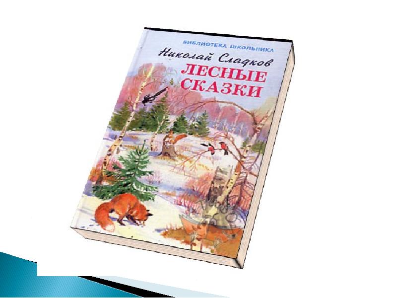 Лес полон сказок и чудес. Здравствуй лес дремучий лес полный сказок и чудес.