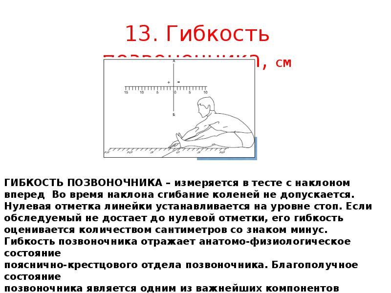 Как измеряется гибкость позвоночника стоя на скамейке