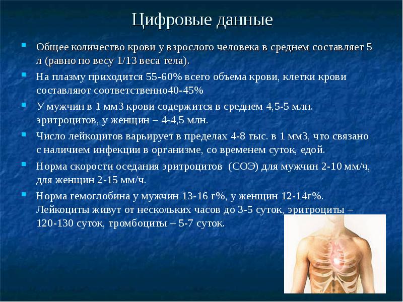 В среднем составляет. Объем крови среднестатистического человека равен. У взрослого человека объем крови составляет в среднем. Общее количество крови составляет массы тела человека. Объем крови у взрослого мужчины:.