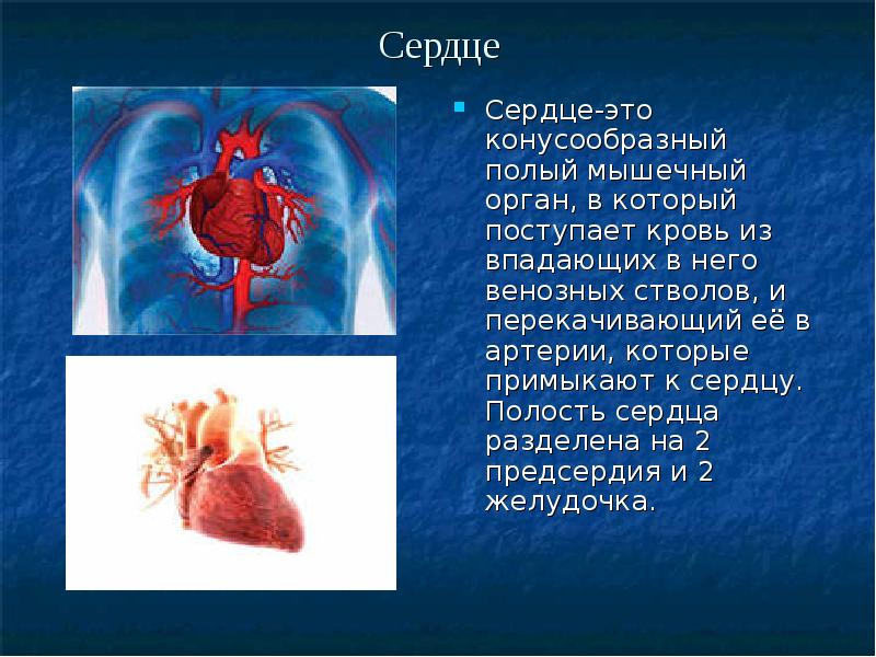 Тренируем сердце 5 класс обж презентация