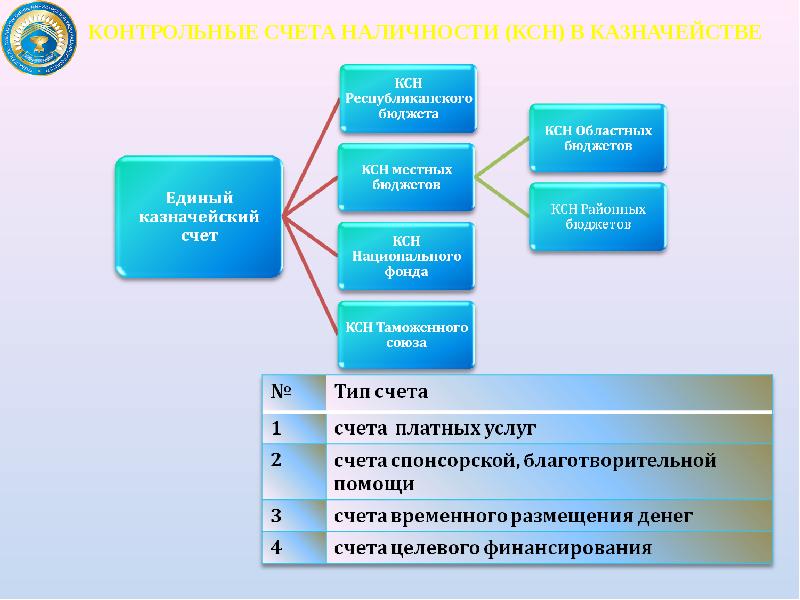 Где открыты казначейские счета. Казначейский счет. Счет в казначействе. Тип казначейского счета.